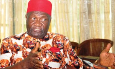 Nigeria May Disintegrate Before 2027 Without Restructure - Says Ex-Minister Nwodo