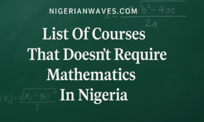 Courses That Doesn’t Require Mathematics