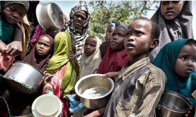 Food crisis looms: 31 million Nigerians may face acute hunger in 2025