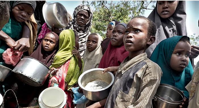 Food crisis looms: 31 million Nigerians may face acute hunger in 2025
