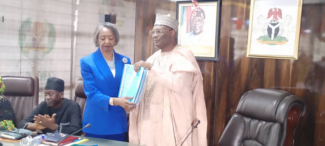 Yakubu: May Agbamuche Takes Over as