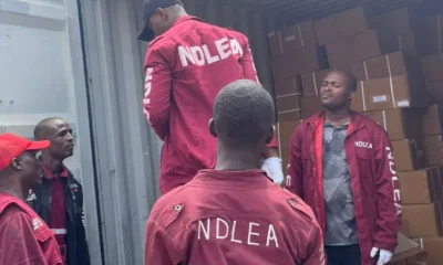 Suspects Arrested As NDLEA Uncovers Drugs Hidden In Snails, Bulbs