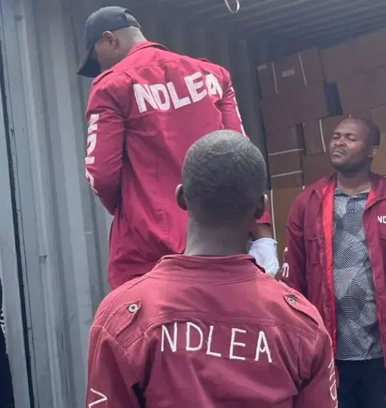 Suspects Arrested As NDLEA Uncovers Drugs Hidden In Snails, Bulbs