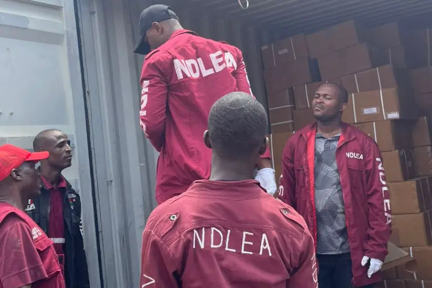 Suspects Arrested As NDLEA Uncovers Drugs Hidden In Snails, Bulbs