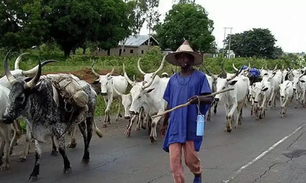 Open Grazing: Livestock Ministry Clarifies Policy Amid Widespread Misreporting