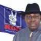 Seriake Dickson - NDC flag